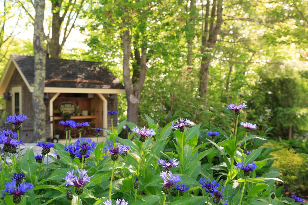 Inn At Sunrise Point Линкольнвилл Экстерьер фото